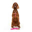 Dukier Savana Arnés Clásico Estampado Jirafas para perros, , large indicador imagen numero 2