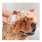 Beaphar Champú Pieles Sensibles para perros, , large image number null