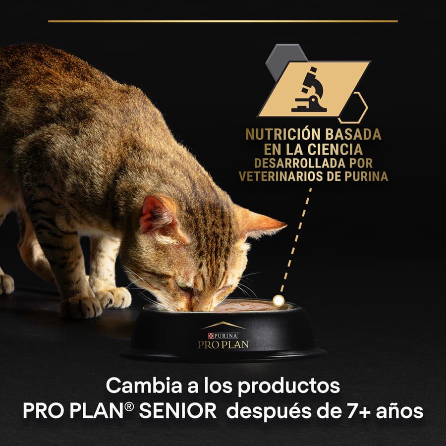 Pro Plan Sterilised Maintenance sobre con Pollo en salsa para gatos thumbnail