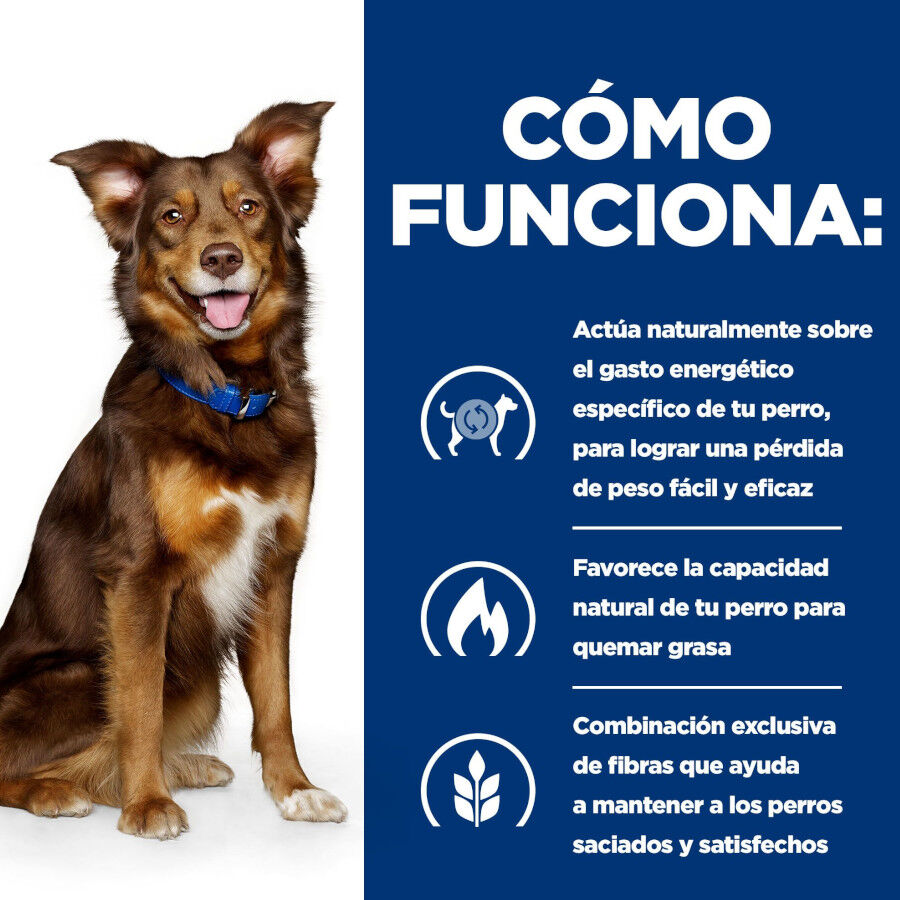 370 g Hill's Prescription Diet Metabolic Vacuno y Verduras lata para perros, , large Imagen numero 5