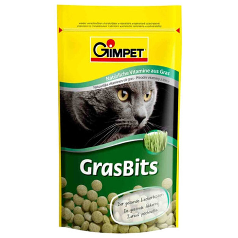 Gimborn GrasBits hierba gatera para gatos image number null