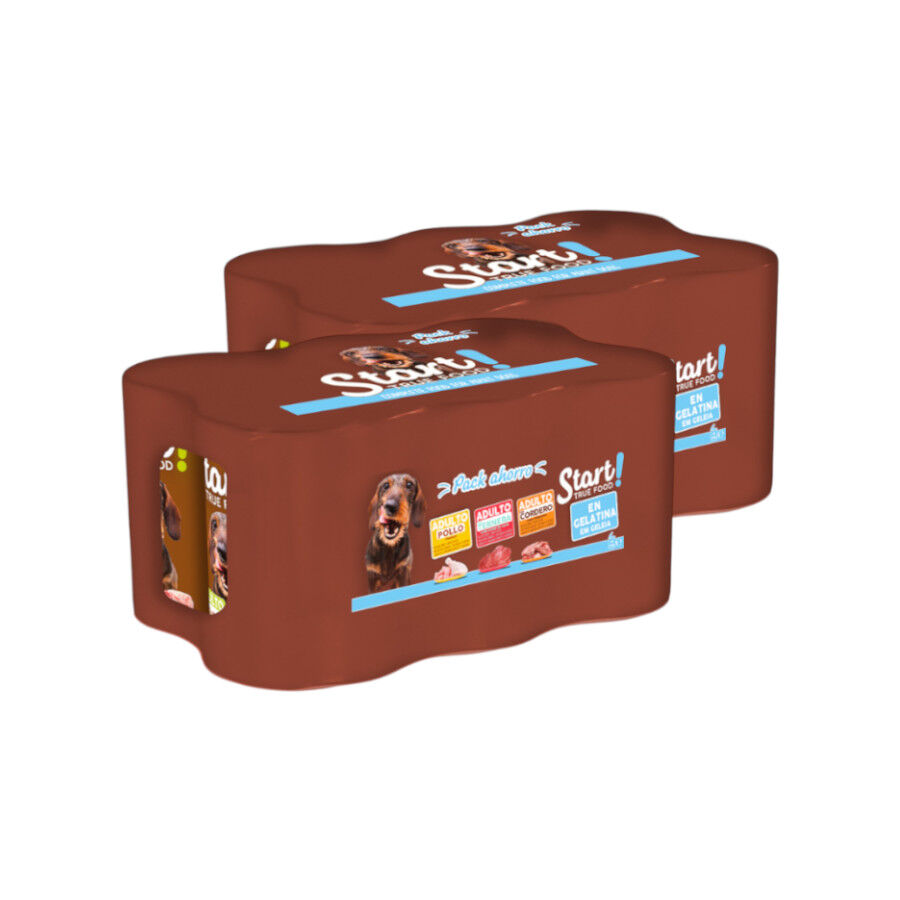 12 latas x 400 g Start! Adult Pollo, Ternera y Cordero en Gelatina lata para perros &iexcl;Pack ahorro!, , large Imagen numero 1