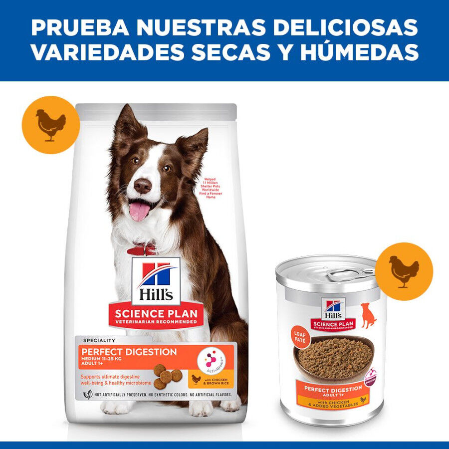 363 g Hill's Science Plan Perfect Digestion Adult Pollo lata para perros, , large Imagen numero 6