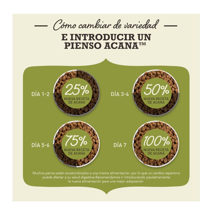 1.8 kg Acana Highest Protein Pollo Pavo y Salm&oacute;n pienso para gatitos, , large Imagen numero 4