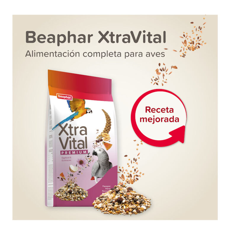 Beaphar XtraVital Comida para loros thumbnail