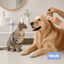 Bloob Limpiador de O&iacute;dos para perros y gatos, , large indicador imagen numero 2