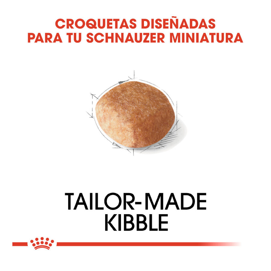 Royal Canin Adult Miniature Schnauzer pienso para perros thumbnail