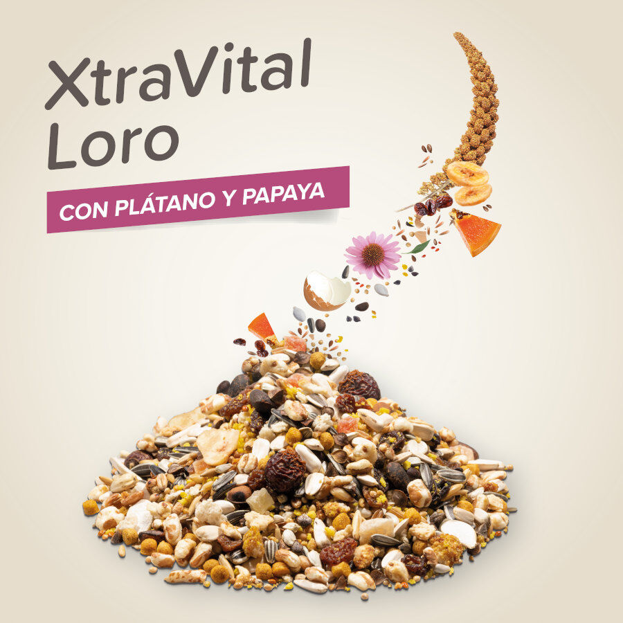 Beaphar XtraVital Premium Loros alimento para pájaros thumbnail