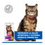 1.5 kg Hill's Adult Science Plan Sensitive Stomach Pollo pienso para gatos, , large indicador imagen numero 4