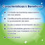 7 barritas Dentalife Snacks Dentales Small ActivFresh para perros, , large indicador imagen numero 3