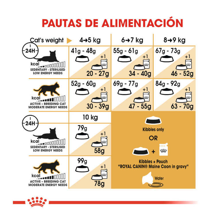 10 kg Royal Canin Adult Maine Coon pienso para gatos,  Imagen numero 7 10 kg Royal Canin Adult Maine Coon pienso para gatos, , large Imagen numero 7