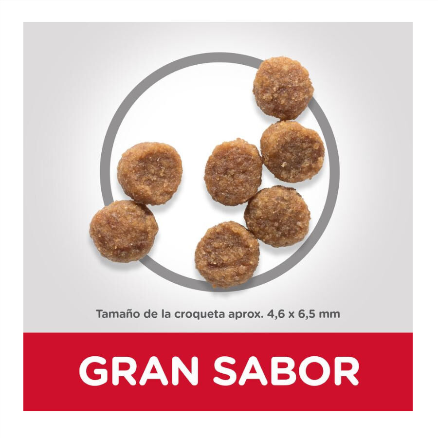 Hill&#039;s Science Plan Puppy Small y mini Cordero y arroz para perros thumbnail