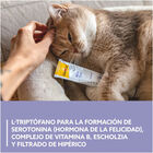 GimCat Relax Pasta Tranquilizante para gatos, , large image number null