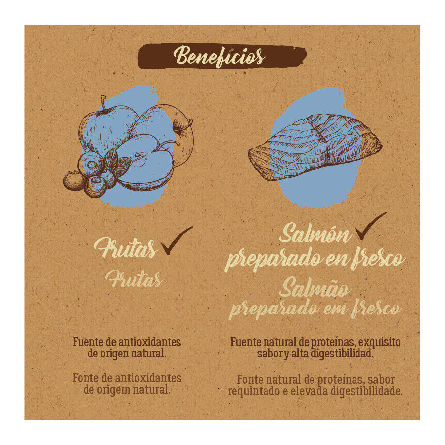 True Origins Pure Adult Medium Maxi Salmón pienso para perros thumbnail