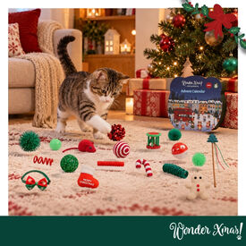 Wonder Christmas Calendario Adviento Premium Juguete para gatos