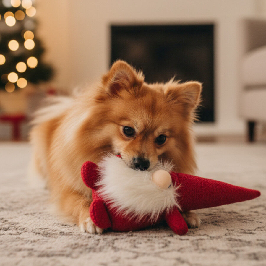 Wonder Christmas Peluche Santa Navideño para perros thumbnail