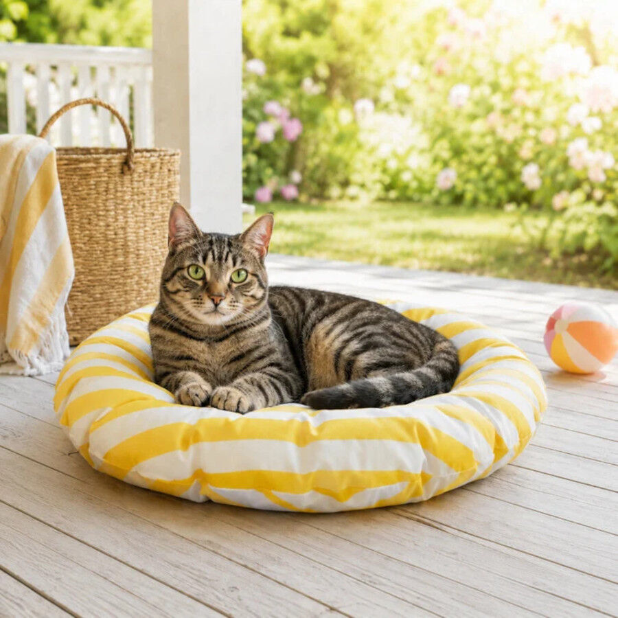 Summer Vibes Cama Redonda Refrescante Amarilla para gatos, , large Imagen numero 3