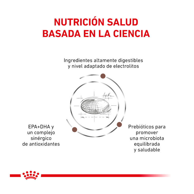 Royal Canin Veterinary Gastrointestinal Moderate Calorie pienso para gatos thumbnail