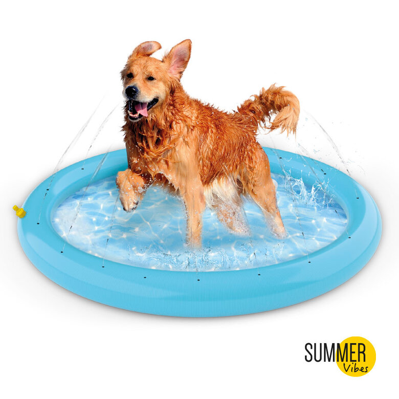 Summer Vibes Piscina con chorros para perros,  Imagen numero 2 Summer Vibes Piscina con chorros para perros, , large Imagen numero 2