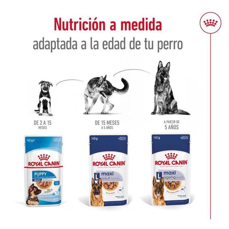 Royal Canin Maxi Adult Carne sobre en salsa para perros thumbnail