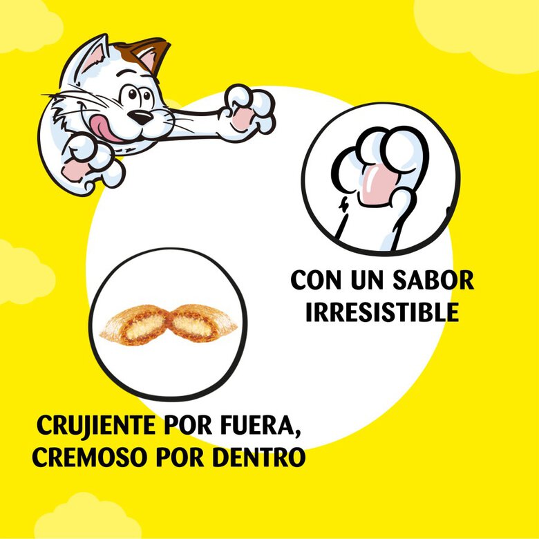 Catisfactions Premios de Salmón y Queso para Gatos, , large image number null