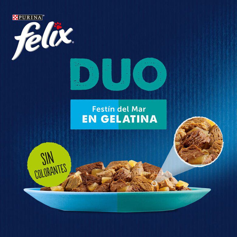 Felix Fantastic Duo Pescado en Gelatina sobre para gatos thumbnail