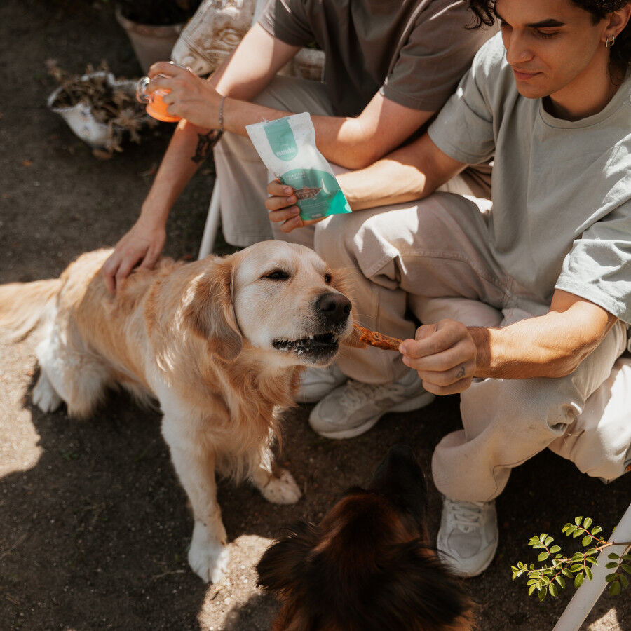 50 g Natuka Filetitos de Melva Snack Natural para perros y gatos, , large Imagen numero 3