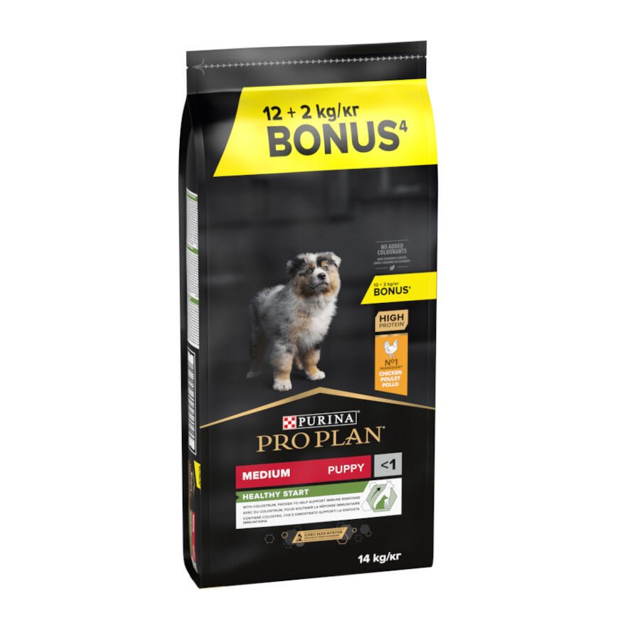 Pro Plan Puppy Medium Pollo pienso para Cachorros