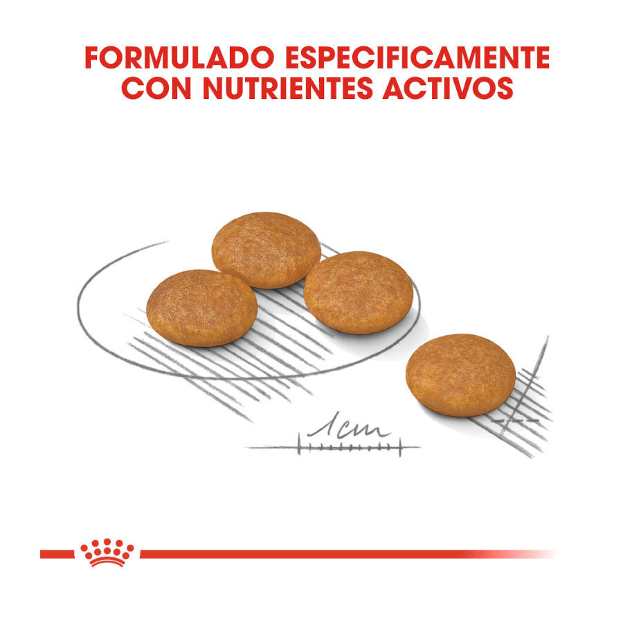 Royal Canin Dermacomfort Mini pienso para perros thumbnail