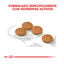8 kg Royal Canin Dermacomfort Mini pienso para perros, , large indicador imagen numero 4