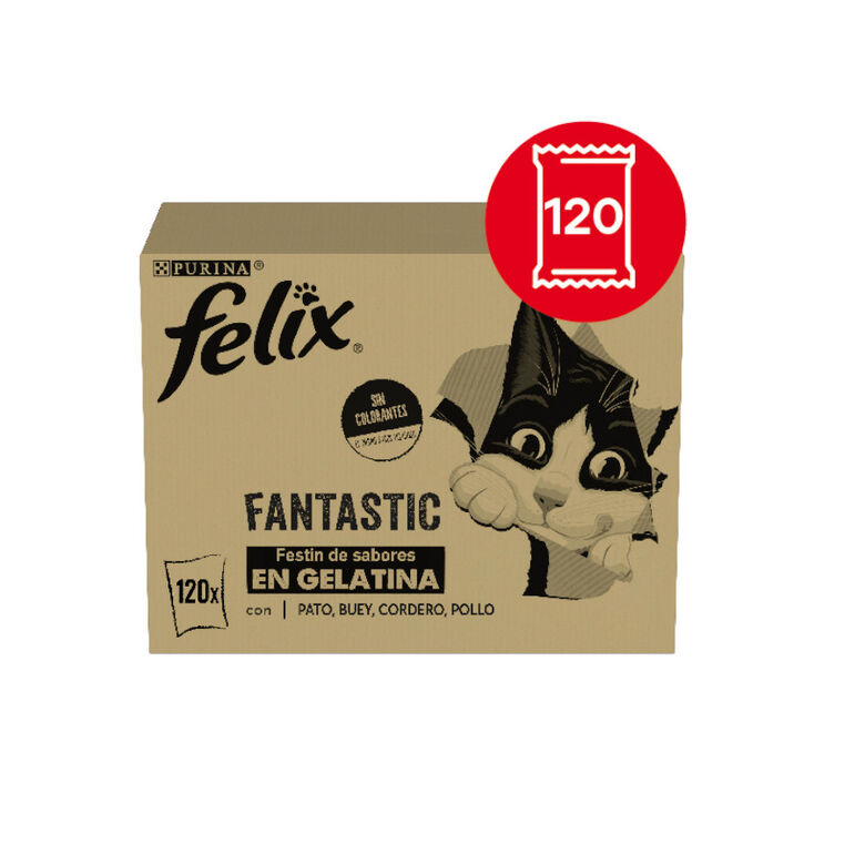 Felix Fantastic Selecciones Favoritas de Carnes en Gelatina sobre para gatos – Multipack thumbnail