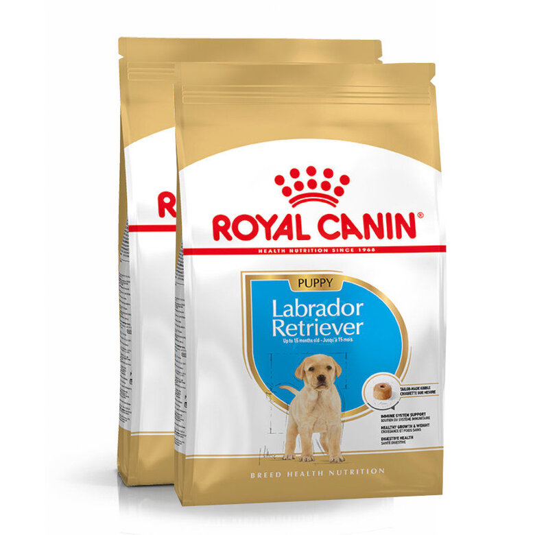 Royal Canin Puppy Labrador Retriever pienso para perros, , large image number null