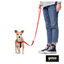 Gotoo Correa de nylon roja reflectante para perros, , large indicador imagen numero 5