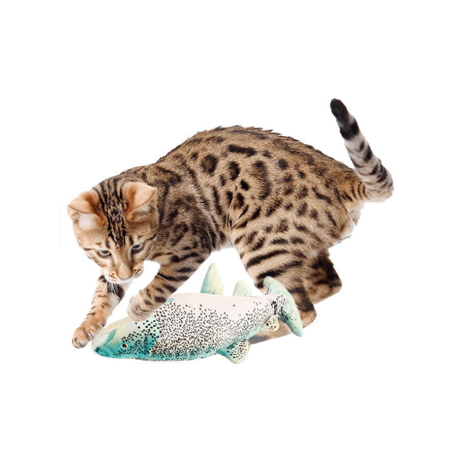 Kiwoko juguetes gato deals