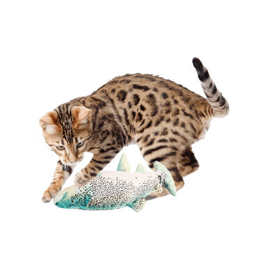 All For Paws Natural Instinct Juguete Interactivo Pez para Gatos
