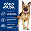 10 kg Hill's Prescription Diet Gastrointestinal Biome Pollo pienso para perros, , large indicador imagen numero 4