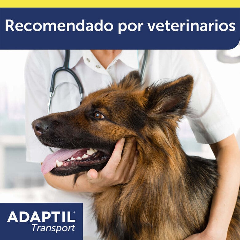 Adaptil Transport Spray Tranquilizante Viajes para perros,  Imagen numero 8 Adaptil Transport Spray Tranquilizante Viajes para perros, , large Imagen numero 8