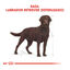 12 kg Royal Canin Adult Labrador Sterilised pienso para perros , , large indicador imagen numero 4