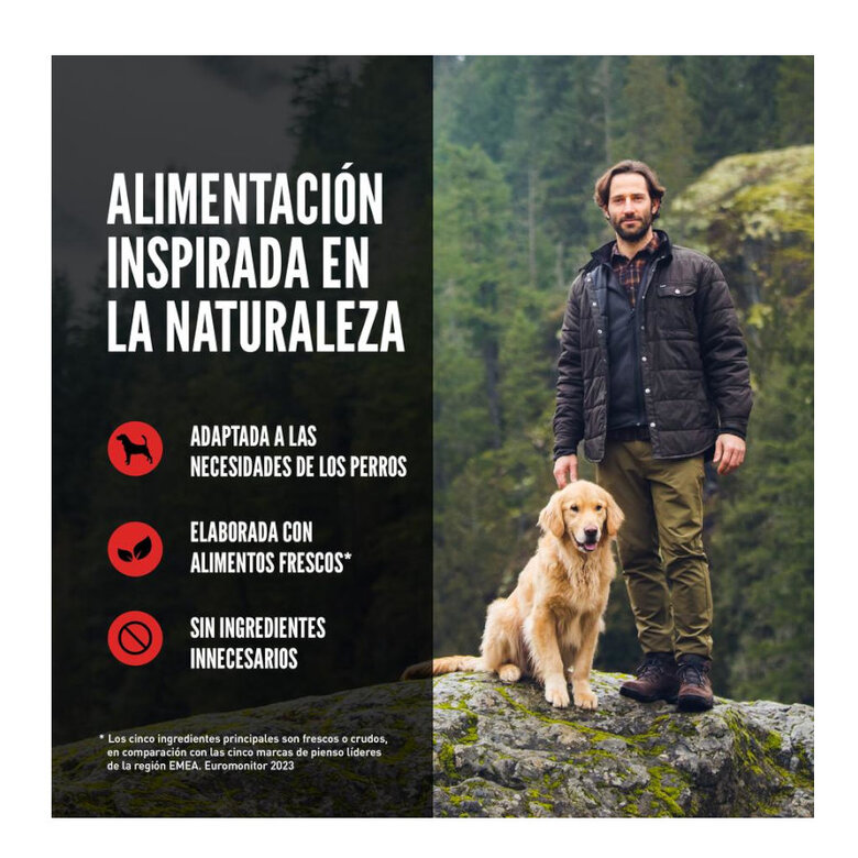 11 kg Orijen Puppy pienso para perros,  Imagen numero 6 11 kg Orijen Puppy pienso para perros, , large Imagen numero 6