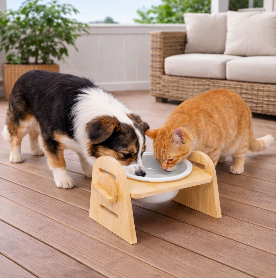 Leeby Comedero Elevado de Madera y Cer&aacute;mica para perros y gatos, , large Imagen numero 1