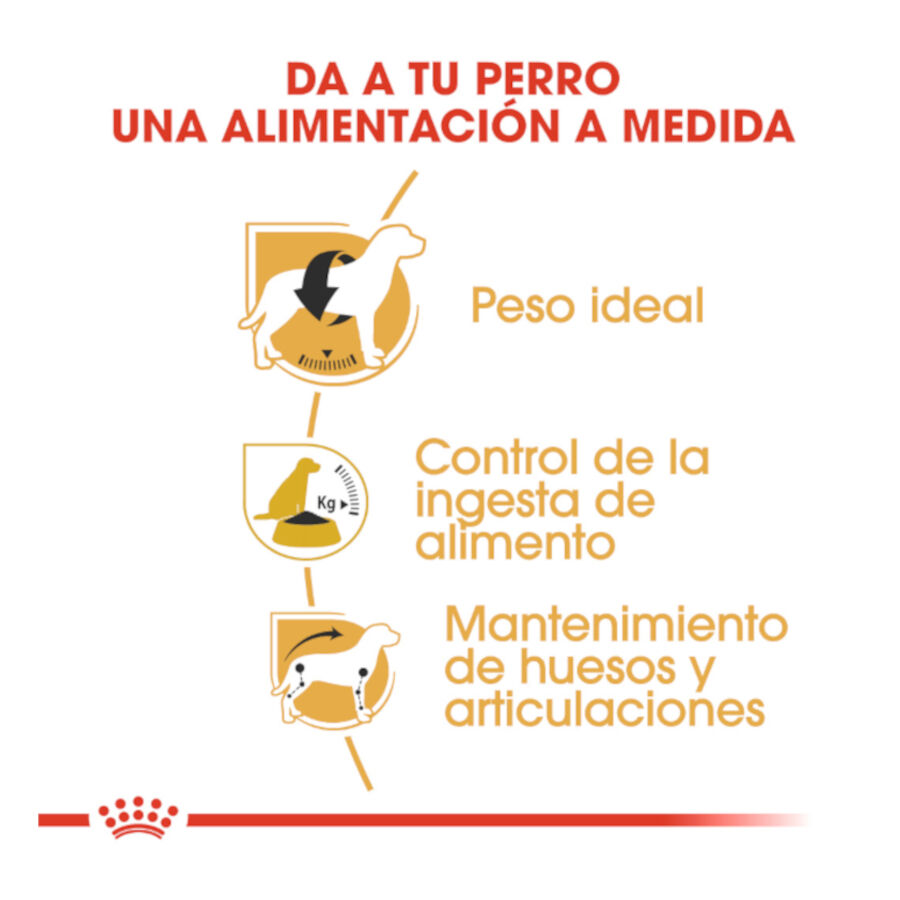 Royal Canin Adult Beagle pienso para perros thumbnail