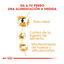3 kg Royal Canin Adult Beagle pienso para perros, , large indicador imagen numero 6