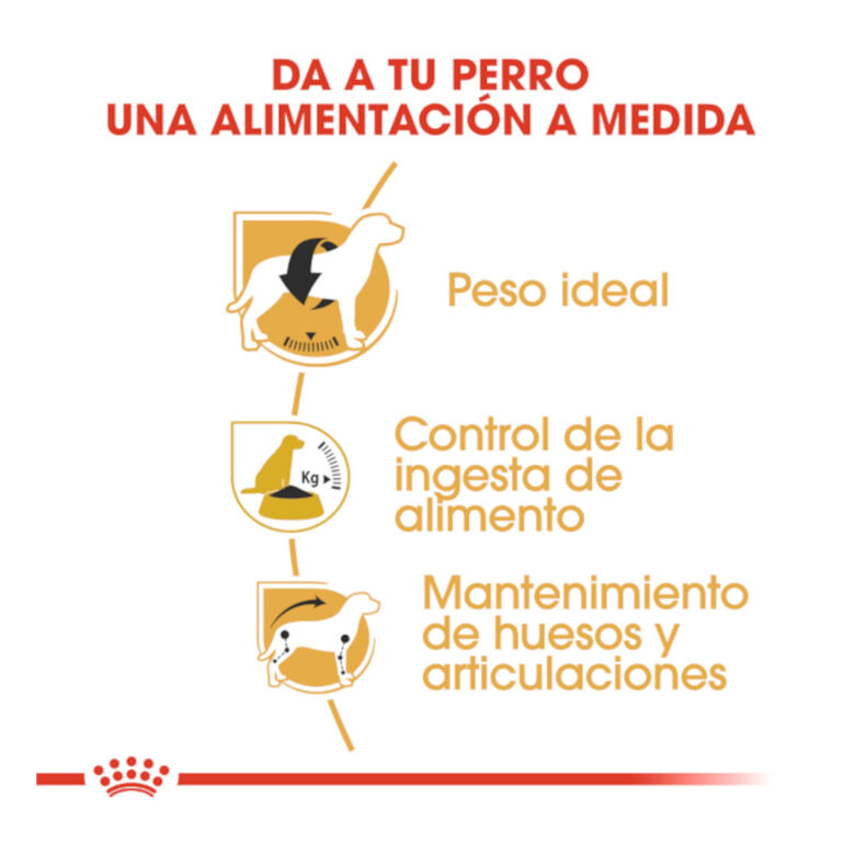 Royal Canin Adult Beagle pienso para perros thumbnail