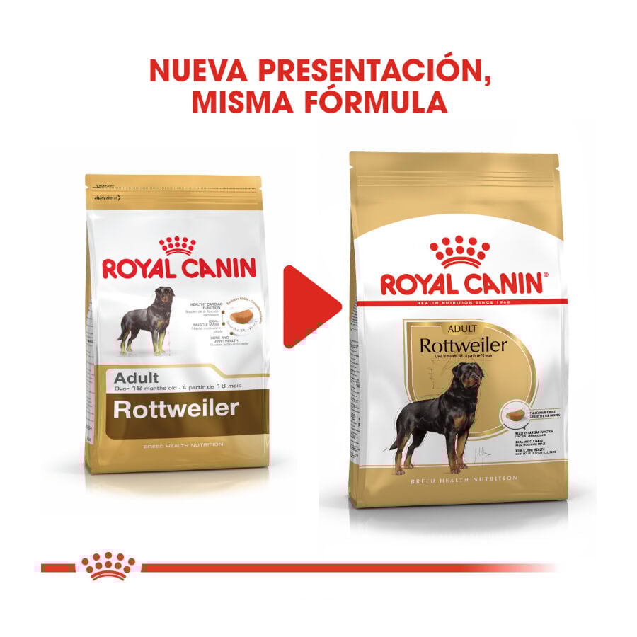12 kg Royal Canin Adult Rottweiler pienso para perros, , large Imagen numero 3
