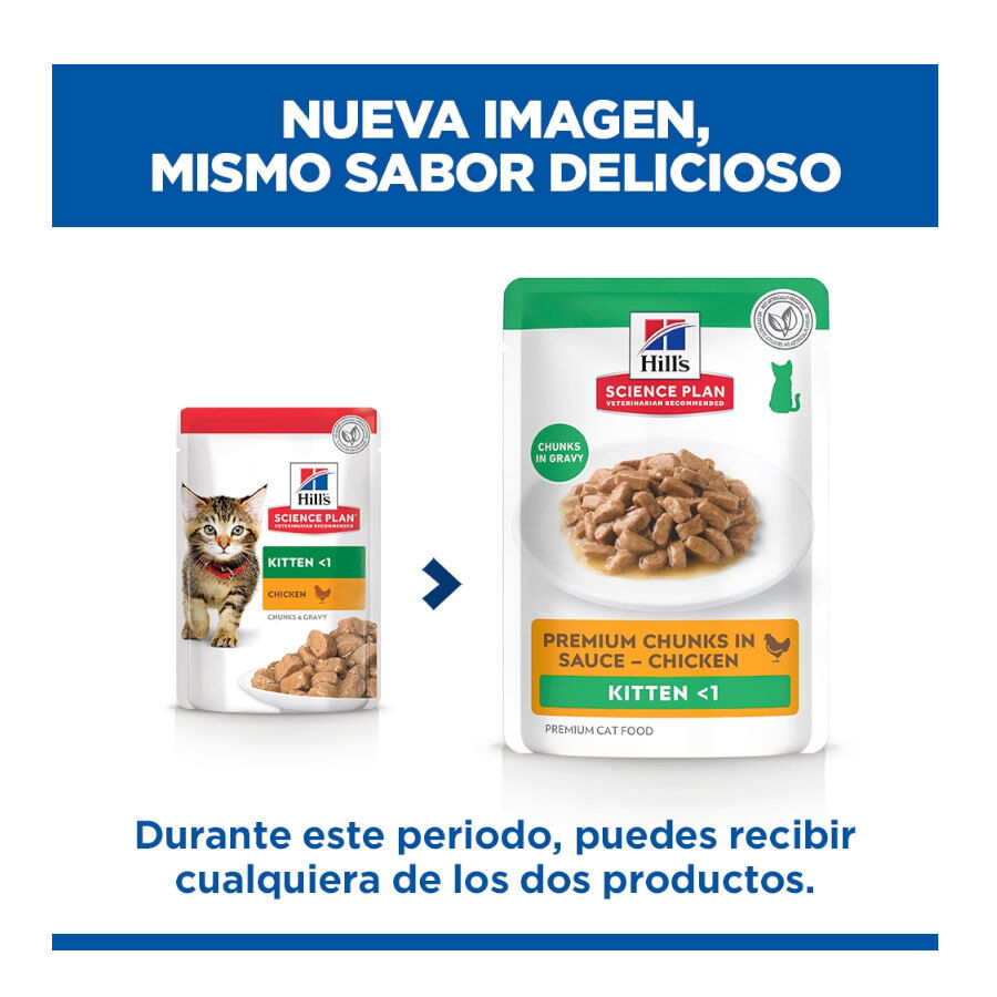 85 g Hill's Science Plan Kitten Pollo sobre en salsa para gatitos, , large Imagen numero 2