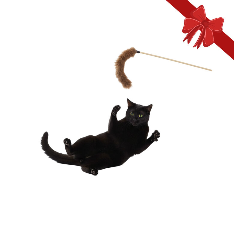 Wonder Christmas Juguete de Caña Navideño para gatos,  Imagen numero 1 Wonder Christmas Juguete de Caña Navideño para gatos, , large Imagen numero 1