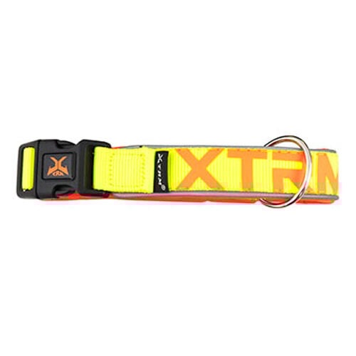 Nayeco X-TRM Neon Flash collar para perros lim&oacute;n Imagen numero 1