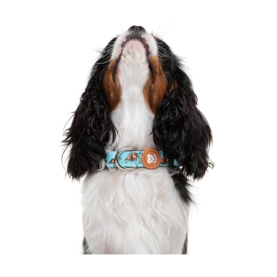 Dukier Collar Estampado Tortugas para perros, , large Imagen numero 2