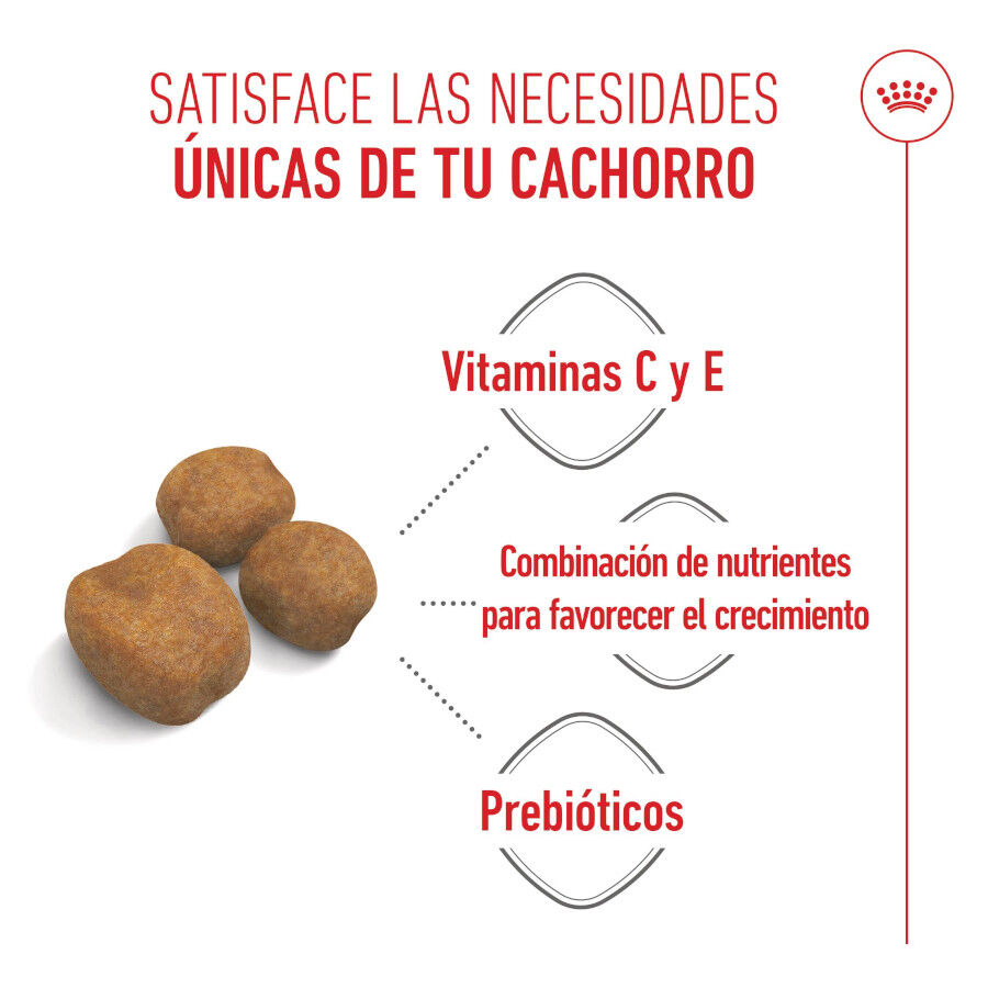 Royal Canin Puppy Giant pienso para perros thumbnail