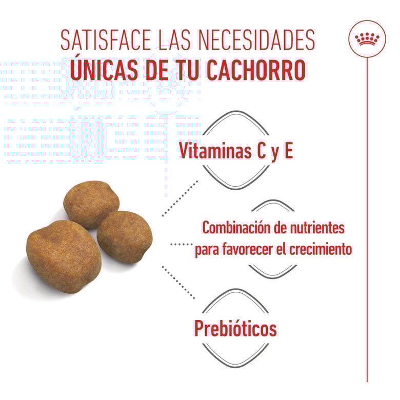 15 kg Royal Canin Puppy Giant pienso para perros,  Imagen numero 4 15 kg Royal Canin Puppy Giant pienso para perros, , large Imagen numero 4